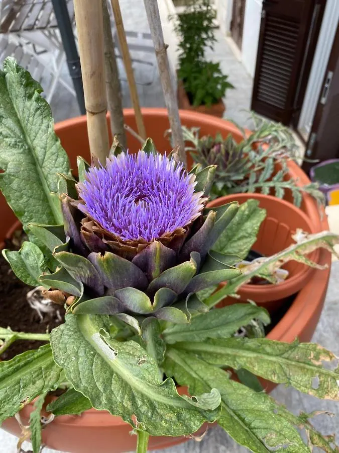 Officinale Rome Apartment, Pineta Sacchetti